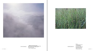 Windy Cliff Press - Wild Blue Pages - Pages 80-81