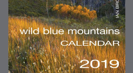 Wild Blue Mountains Calendar, 2019